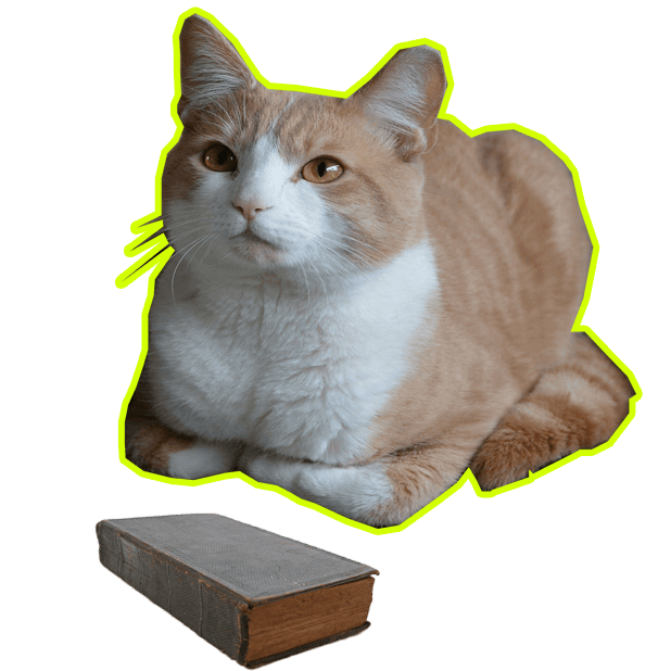 Let's Meow! - Cat Sticker Pack for Cat Lovers! messages sticker-7