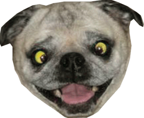 dogdings ~ animated dog stickers for dogs messages sticker-7