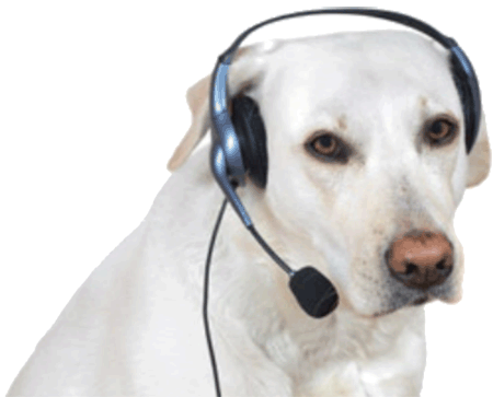 dogdings ~ animated dog stickers for dogs messages sticker-11