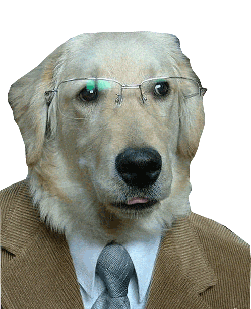 dogdings ~ animated dog stickers for dogs messages sticker-1