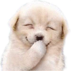 dogdings ~ animated dog stickers for dogs messages sticker-0