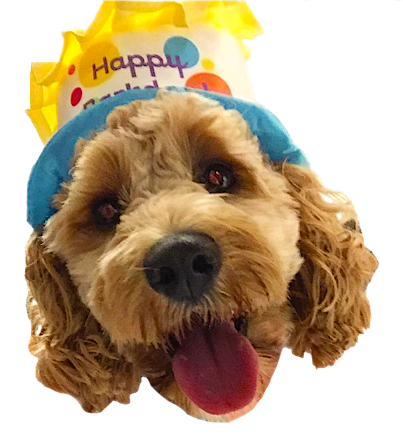 Dog Friends messages sticker-7