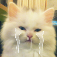My Dumb Cats messages sticker-3