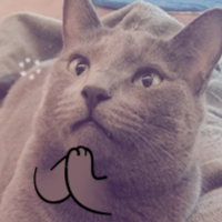 My Dumb Cats messages sticker-0