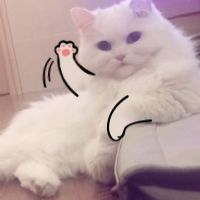 My Dumb Cats messages sticker-9