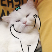 My Dumb Cats messages sticker-4
