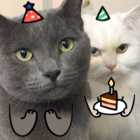 My Dumb Cats messages sticker-2