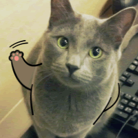 My Dumb Cats messages sticker-10