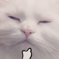 My Dumb Cats messages sticker-7