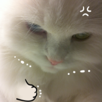 My Dumb Cats messages sticker-1