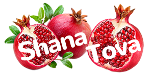 iJewish messages sticker-10