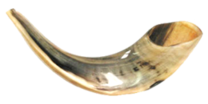 iJewish messages sticker-8