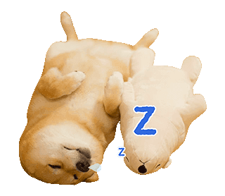 Maru The Shiba Dog messages sticker-2