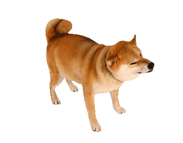 Maru The Shiba Dog messages sticker-11