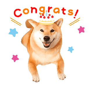 Maru The Shiba Dog messages sticker-8