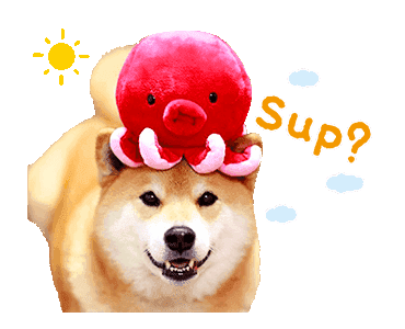 Maru The Shiba Dog messages sticker-4