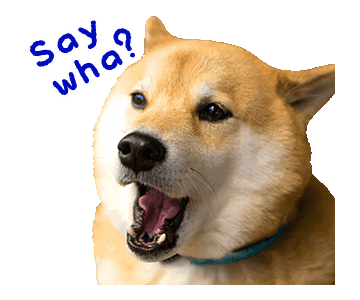 Maru The Shiba Dog messages sticker-10