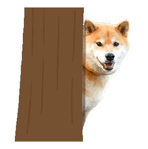 Maru The Shiba Dog messages sticker-3