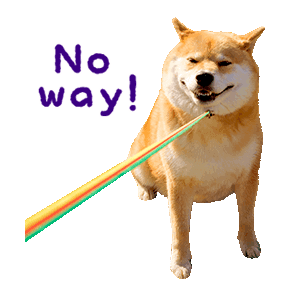 Maru The Shiba Dog messages sticker-5