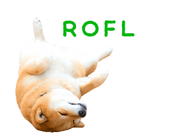 Maru The Shiba Dog messages sticker-9
