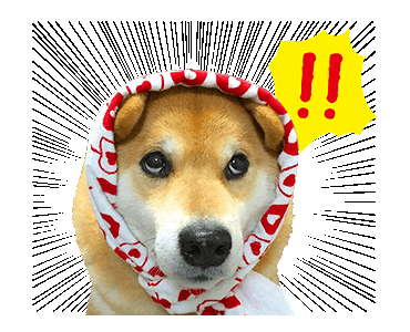 Maru The Shiba Dog messages sticker-1