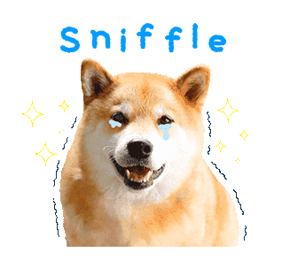 Maru The Shiba Dog messages sticker-7