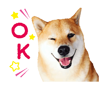 Maru The Shiba Dog messages sticker-0