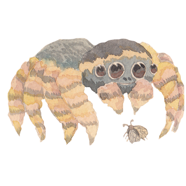 Silly Spiders by Rhea Dennis messages sticker-9