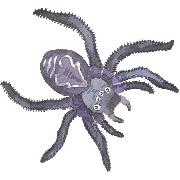 Silly Spiders by Rhea Dennis messages sticker-1