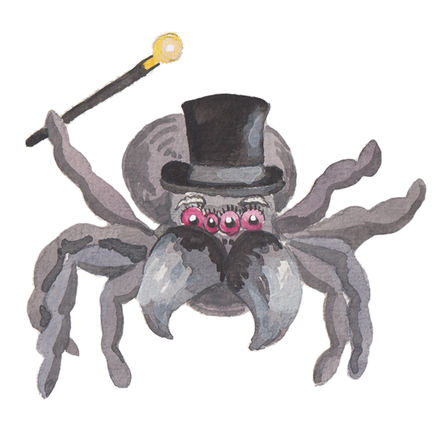 Silly Spiders by Rhea Dennis messages sticker-3