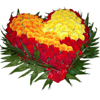 Flowers Stickers Pack FOr iMessage messages sticker-8