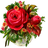Flowers Stickers Pack FOr iMessage messages sticker-2