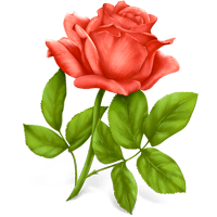 Flowers Stickers Pack FOr iMessage messages sticker-1