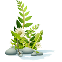Flowers Stickers Pack FOr iMessage messages sticker-9