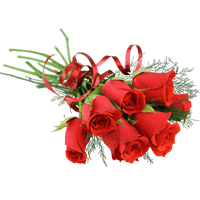 Flowers Stickers Pack FOr iMessage messages sticker-5