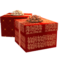 Gift Stickers For iMessage messages sticker-4
