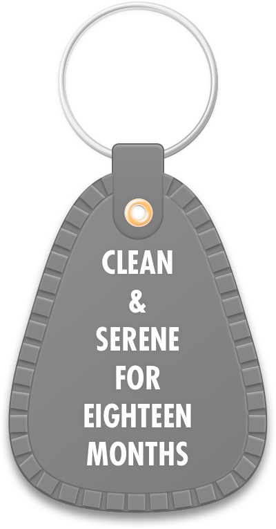 Recovery Keytags – 12 Step Recovery Stickers messages sticker-7