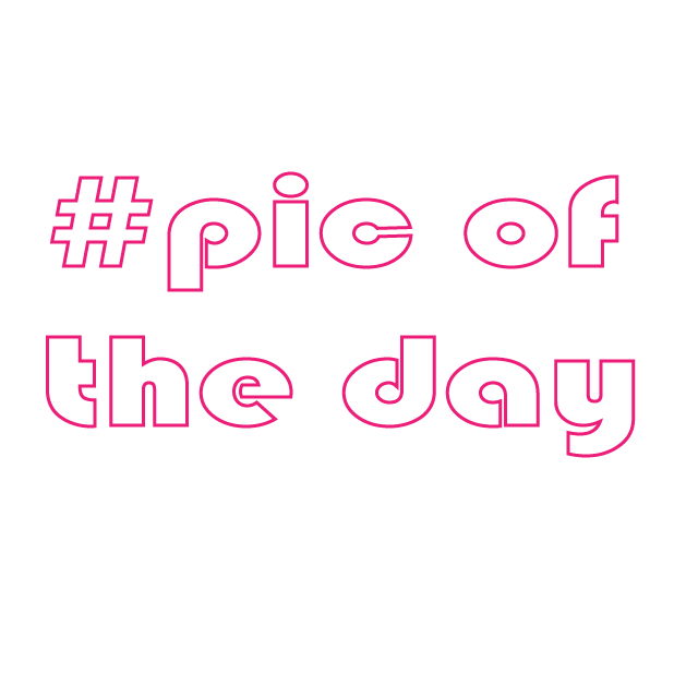 #Fashionista-Hashtag Stickers for Fashion Lovers! messages sticker-8