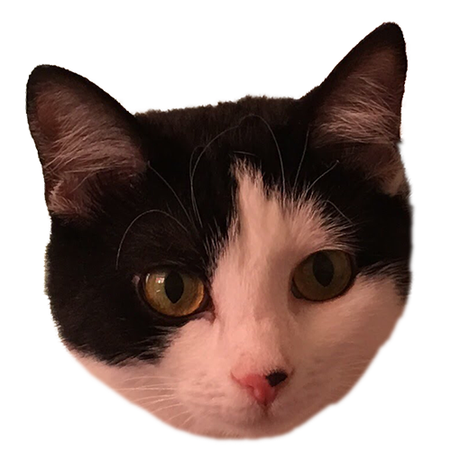 Muffin the cat messages sticker-3