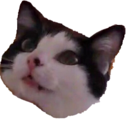 Muffin the cat messages sticker-7
