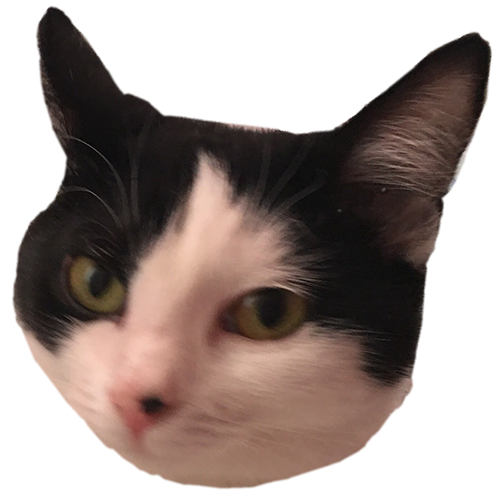 Muffin the cat messages sticker-4