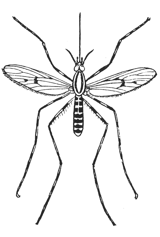 Fly stickers messages sticker-6