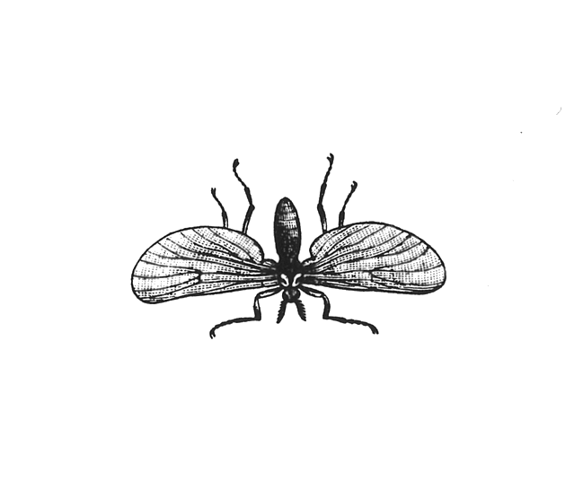 Fly stickers messages sticker-7