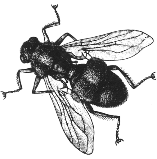Fly stickers messages sticker-1