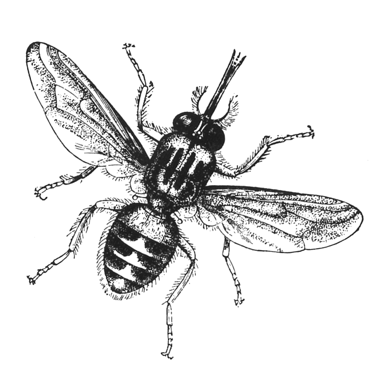 Fly stickers messages sticker-8