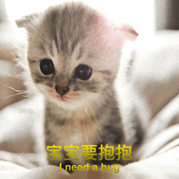 喵主子 messages sticker-0