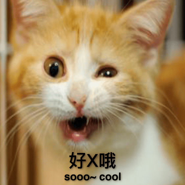 喵主子 messages sticker-11