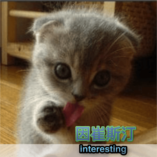 喵主子 messages sticker-3