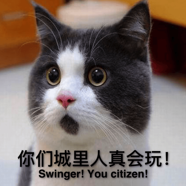 喵主子 messages sticker-7