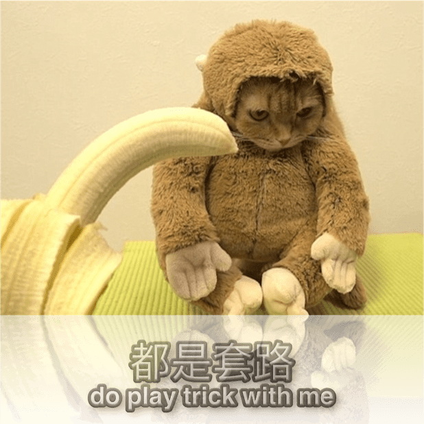 喵主子 messages sticker-10